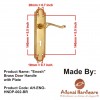 "Enosh" Brass Door Handle with Plate 